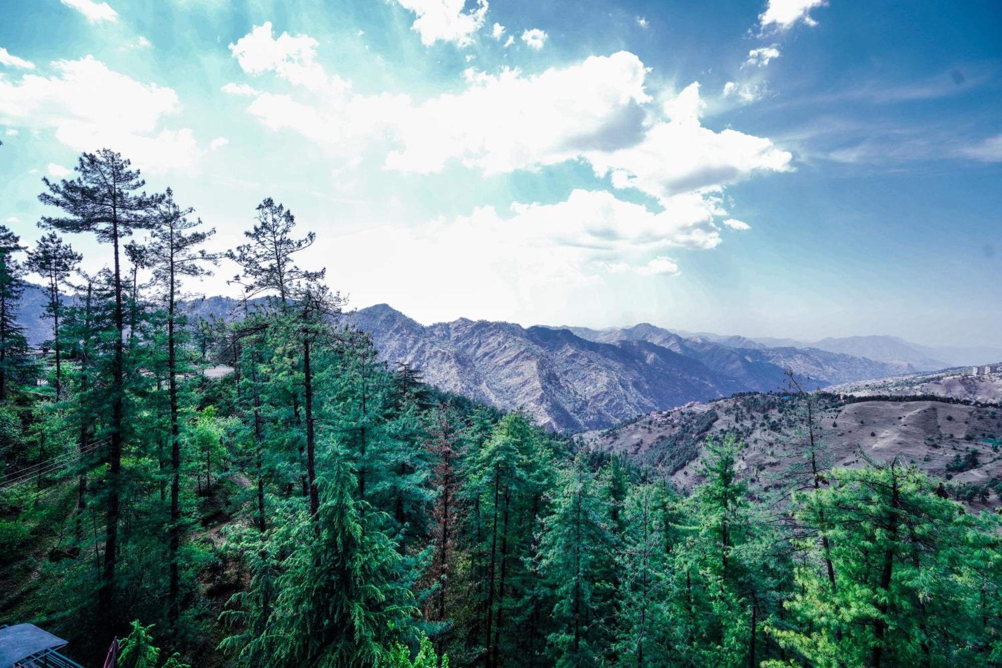 Aachman Nature Valley Resort Mashobra By Naina Staycation- Private Parking - Balcony And Valley View Rooms Shimla Exterior photo